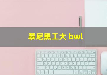 慕尼黑工大 bwl